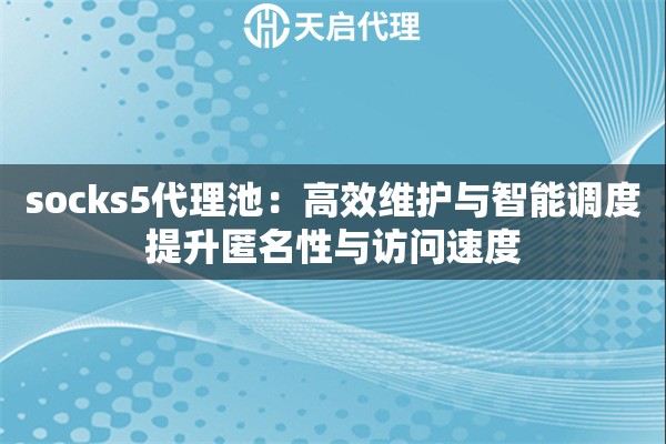 socks5代理池：高效维护与智能调度提升匿名性与访问速度