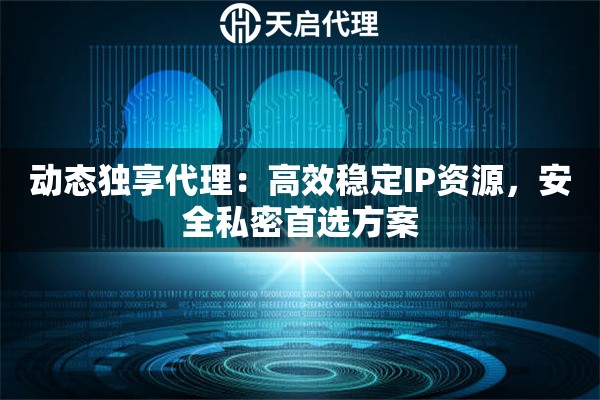 动态独享代理：高效稳定IP资源，安全私密首选方案