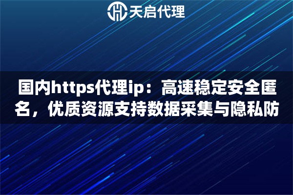 国内https代理ip：高速稳定安全匿名，优质资源支持数据采集与隐私防护