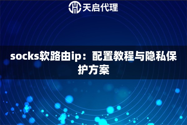 socks软路由ip：配置教程与隐私保护方案