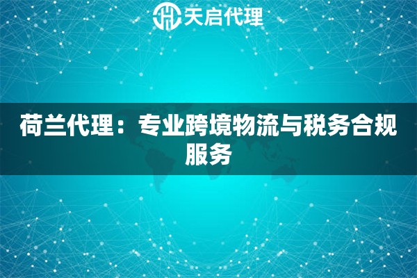 荷兰代理：专业跨境物流与税务合规服务