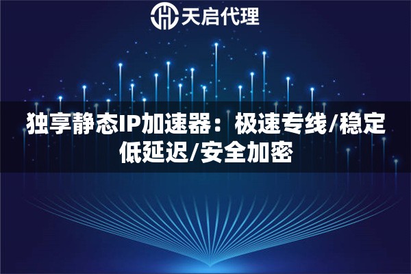 独享静态IP加速器：极速专线/稳定低延迟/安全加密