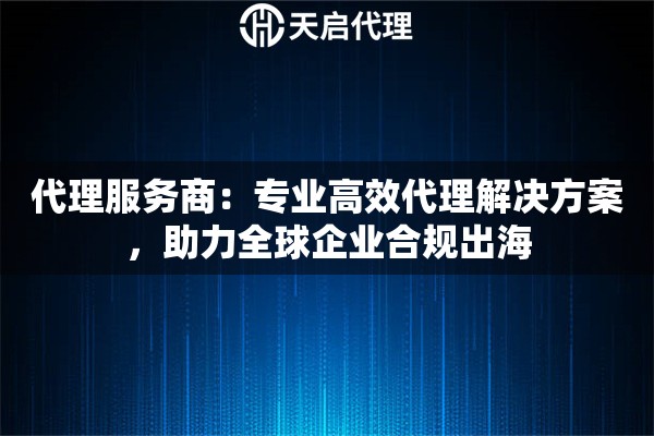 代理服务商：专业高效代理解决方案，助力全球企业合规出海
