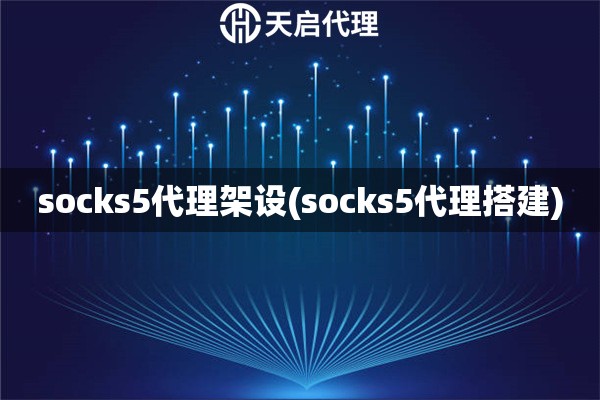 socks5代理架设(socks5代理搭建)