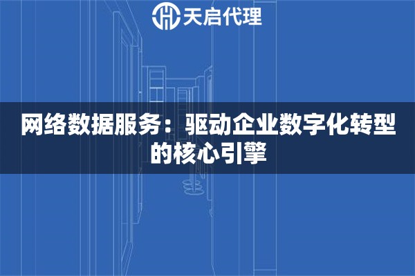 网络数据服务：驱动企业数字化转型的核心引擎