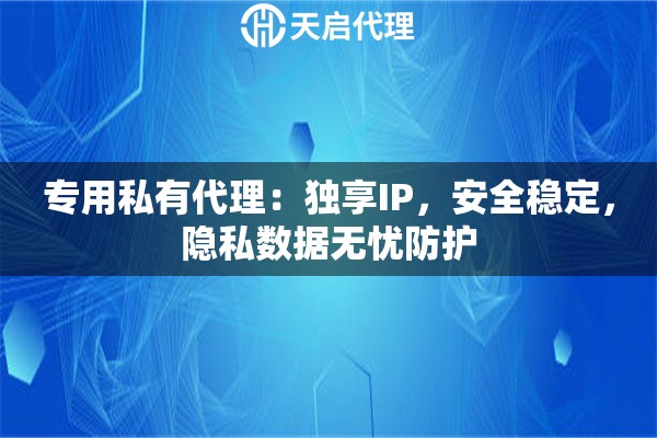 专用私有代理：独享IP，安全稳定，隐私数据无忧防护