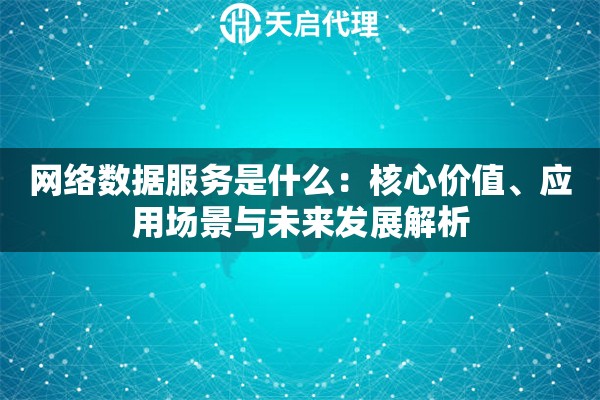 网络数据服务是什么：核心价值、应用场景与未来发展解析