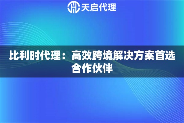 比利时代理：高效跨境解决方案首选合作伙伴