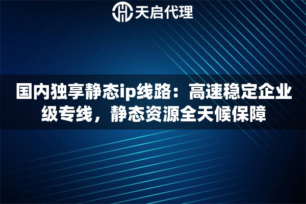 国内独享静态ip线路：高速稳定企业级专线，静态资源全天候保障