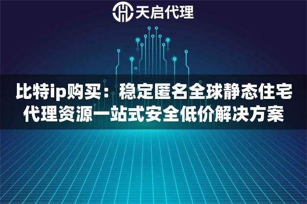 比特ip购买：稳定匿名全球静态住宅代理资源一站式安全低价解决方案