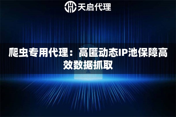 爬虫专用代理：高匿动态IP池保障高效数据抓取