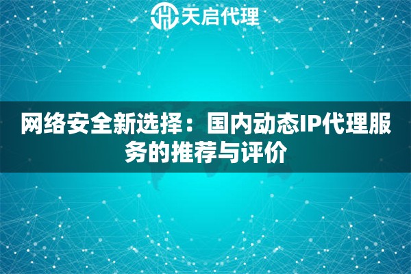 网络安全新选择：国内动态IP代理服务的推荐与评价