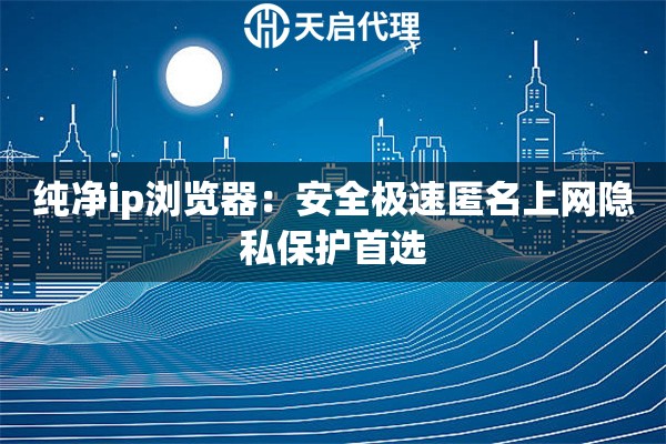 纯净ip浏览器：安全极速匿名上网隐私保护首选