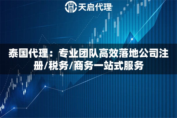 泰国代理：专业团队高效落地公司注册/税务/商务一站式服务