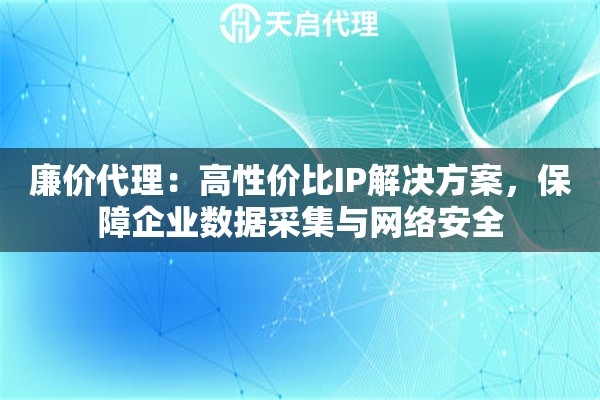 廉价代理：高性价比IP解决方案，保障企业数据采集与网络安全