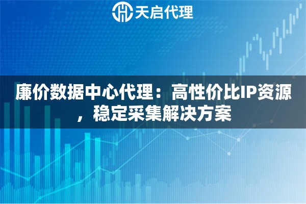 廉价数据中心代理：高性价比IP资源，稳定采集解决方案