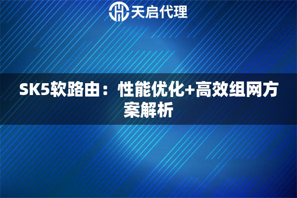 SK5软路由：性能优化+高效组网方案解析