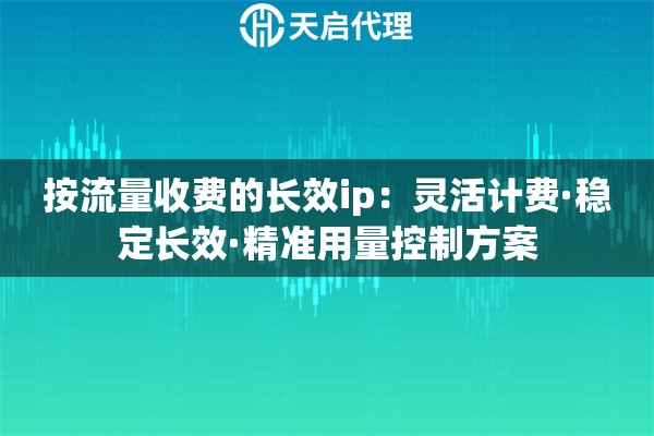 按流量收费的长效ip：灵活计费·稳定长效·精准用量控制方案