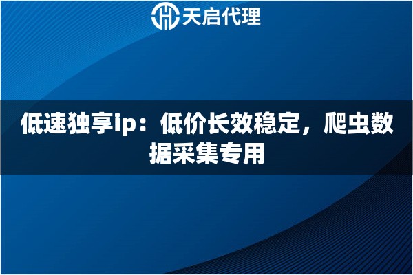低速独享ip：低价长效稳定，爬虫数据采集专用