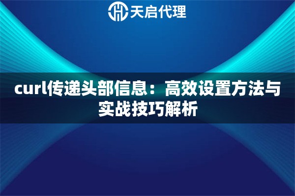 curl传递头部信息：高效设置方法与实战技巧解析