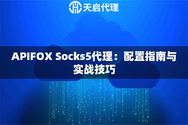 APIFOX Socks5代理：配置指南与实战技巧