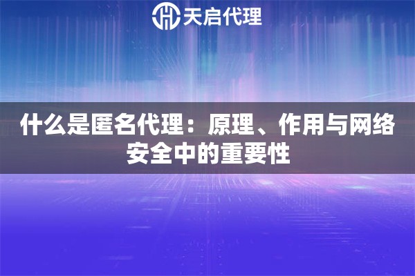 什么是匿名代理：原理、作用与网络安全中的重要性