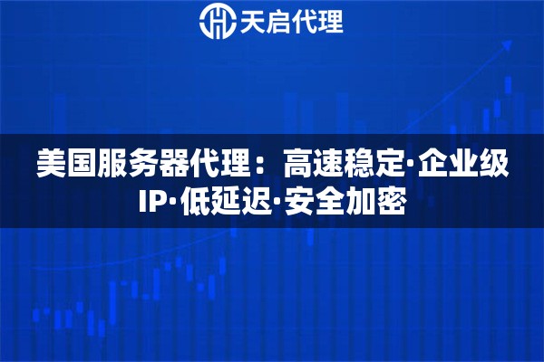 美国服务器代理：高速稳定·企业级IP·低延迟·安全加密