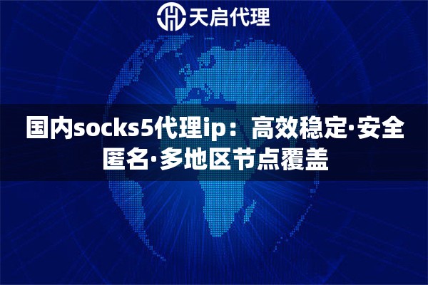 国内socks5代理ip：高效稳定·安全匿名·多地区节点覆盖