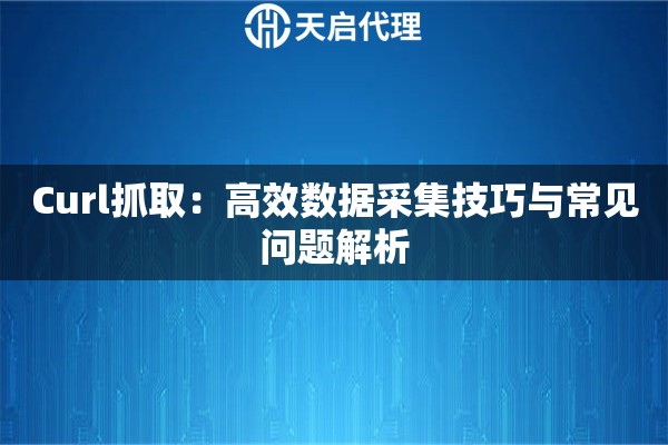 Curl抓取：高效数据采集技巧与常见问题解析