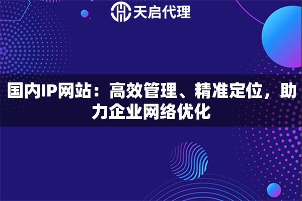 国内IP网站：高效管理、精准定位，助力企业网络优化