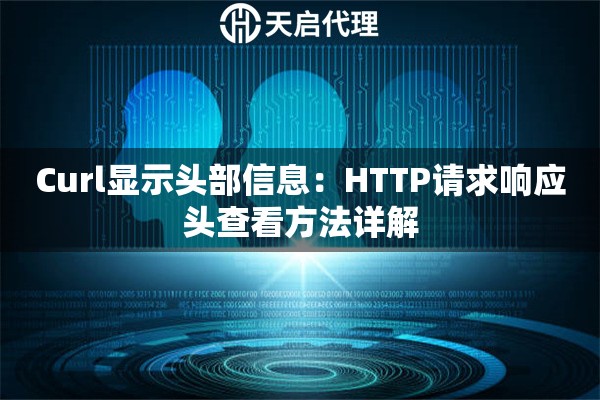Curl显示头部信息：HTTP请求响应头查看方法详解