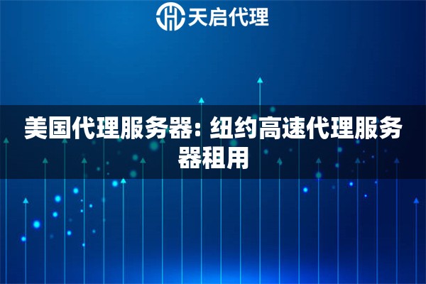 美国代理服务器: 纽约高速代理服务器租用