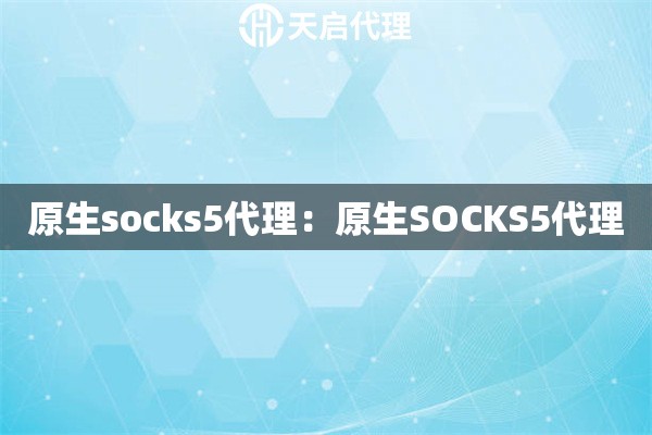 原生socks5代理：原生SOCKS5代理