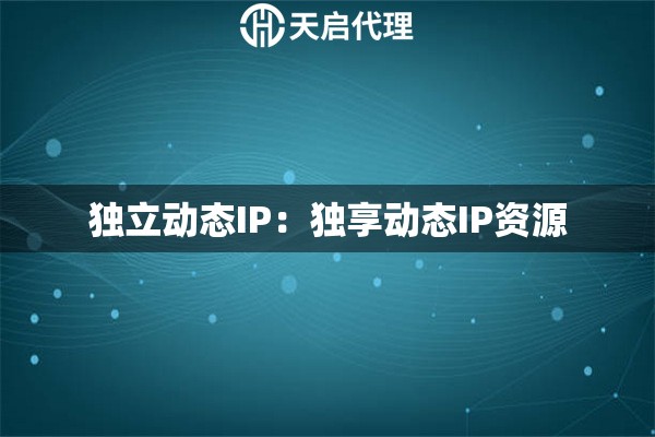 独立动态IP：独享动态IP资源