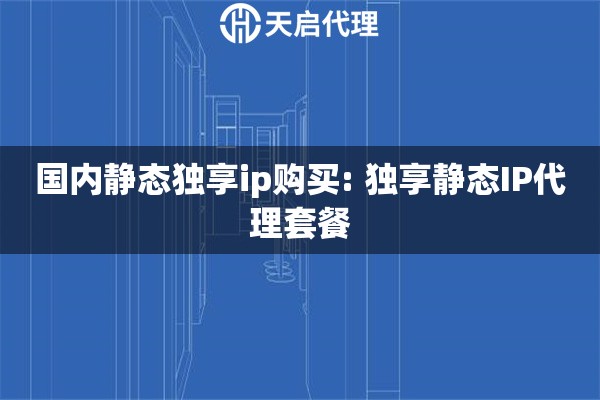 国内静态独享ip购买: 独享静态IP代理套餐
