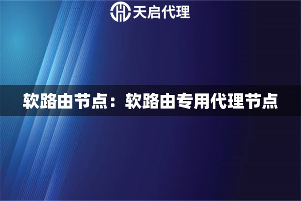 软路由节点：软路由专用代理节点