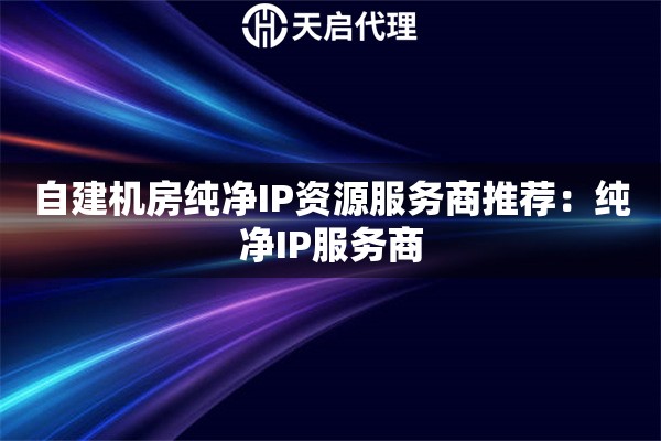 自建机房纯净IP资源服务商推荐：纯净IP服务商