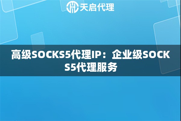 高级SOCKS5代理IP：企业级SOCKS5代理服务