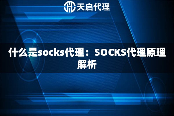 什么是socks代理：SOCKS代理原理解析