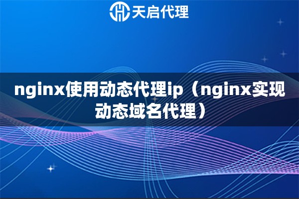 nginx使用动态代理ip（nginx实现动态域名代理）