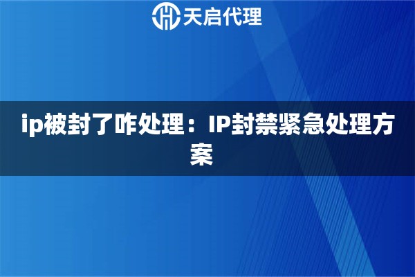 ip被封了咋处理：IP封禁紧急处理方案  