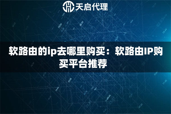 软路由的ip去哪里购买：软路由IP购买平台推荐  