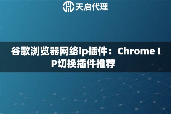 谷歌浏览器网络ip插件：Chrome IP切换插件推荐  
