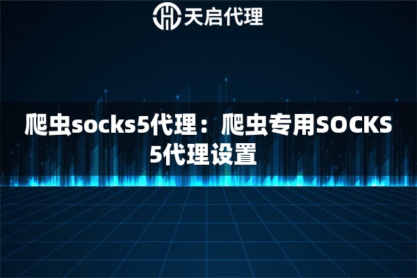 爬虫socks5代理：爬虫专用SOCKS5代理设置  
