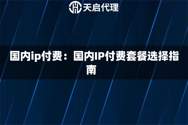 国内ip付费：国内IP付费套餐选择指南  