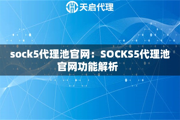 sock5代理池官网：SOCKS5代理池官网功能解析  