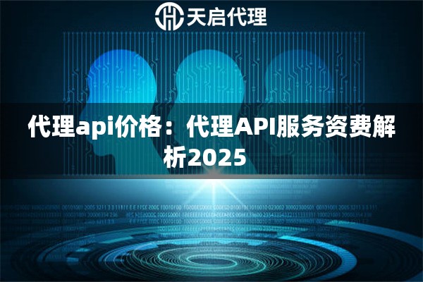 代理api价格：代理API服务资费解析2025  