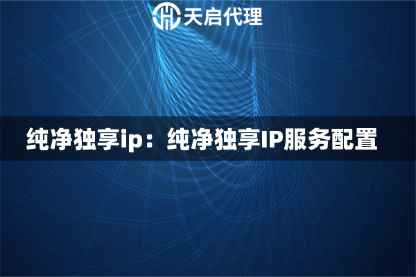 纯净独享ip：纯净独享IP服务配置  