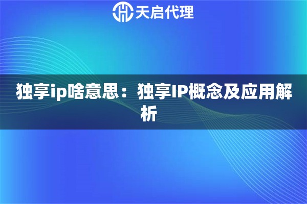 独享ip啥意思：独享IP概念及应用解析  