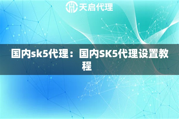 国内sk5代理：国内SK5代理设置教程  